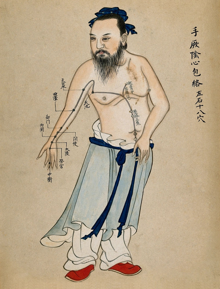 acupuncture chart